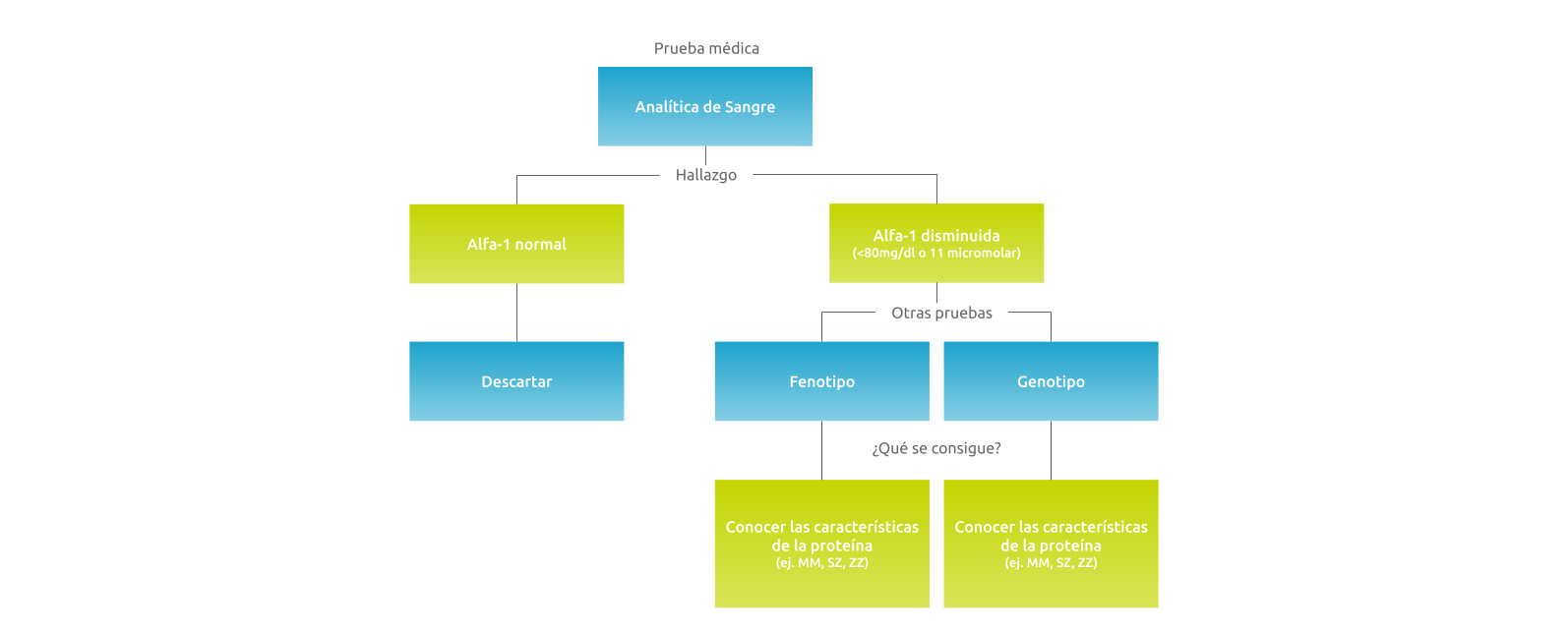 Como_se_diagnostica__1_