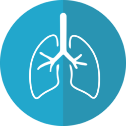 lungs-g68553d37e_1280 (1)