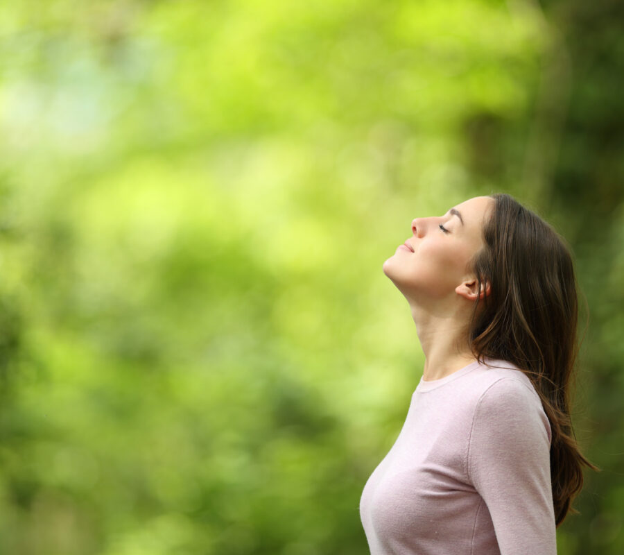 Profile of a relaxed woman breathing fresh air in a green forest