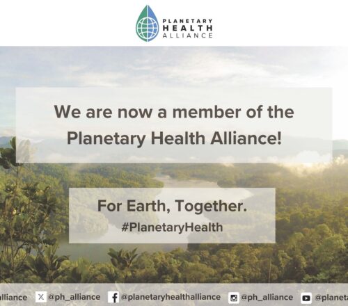 New Member Banner Template 2 copia